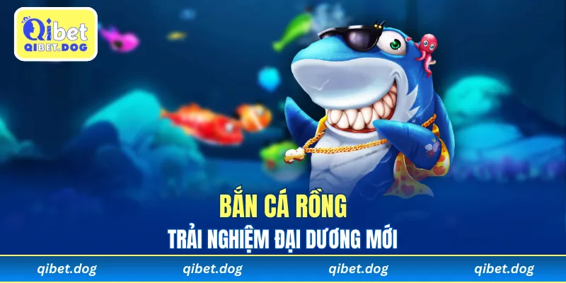 Hành trình bắn cá Rồng mở ra trải nghiệm đại dương mới