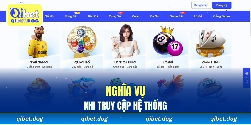 Chính sách và nghĩa vụ khi truy cập hệ thống
