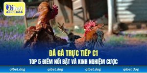 Đá Gà Trực Tiếp C1 - Top 5 Điểm Nổi Bật Và Kinh Nghiệm Cược