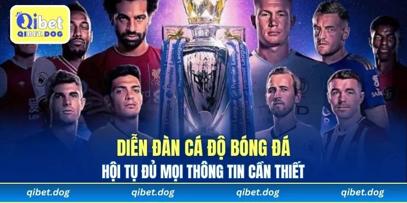 Diễn Đàn Cá Độ Bóng Đá - Hội Tụ Đủ Mọi Thông Tin Cần Thiết