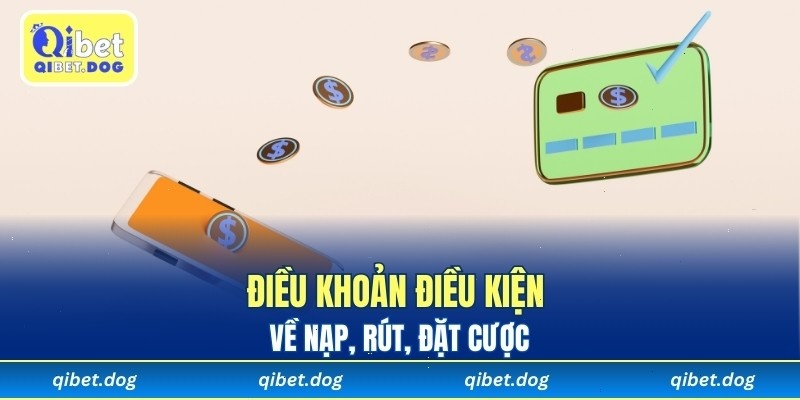 Điều khoản điều kiện cụ thể về nạp rút và đặt cược tại Qibet