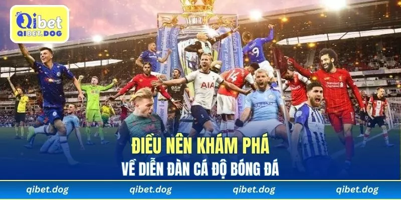 Điều nên khám phá về diễn đàn cá độ bóng đá