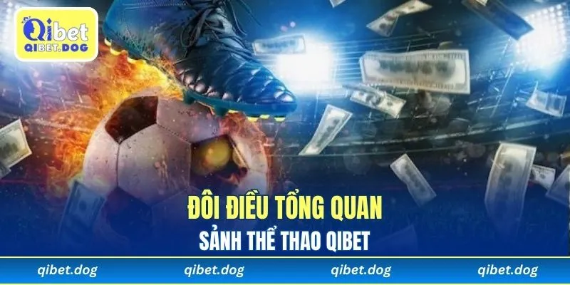 Đôi điều tổng quan sảnh Thể Thao Qibet