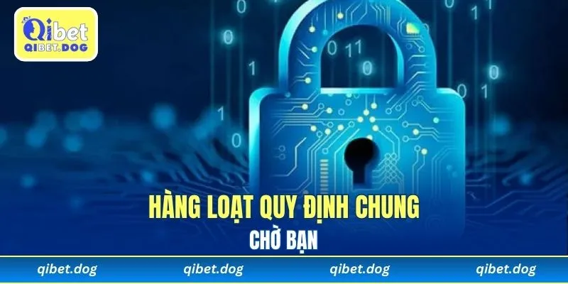 Hàng loạt quy định chung chờ bạn