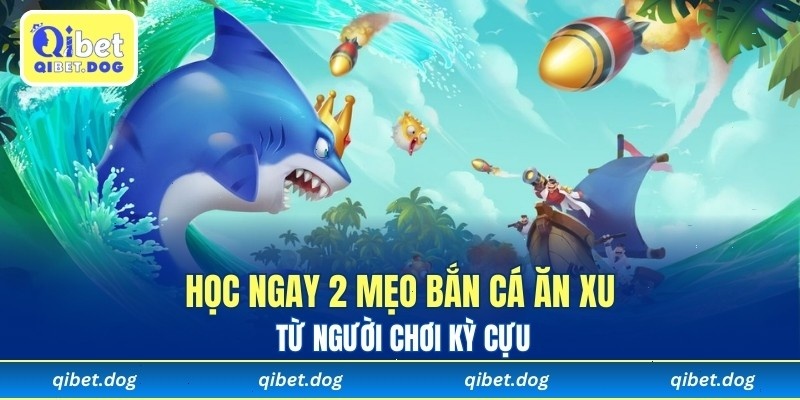 Học ngay 2 mẹo bắn cá ăn xu từ người chơi kỳ cựu
