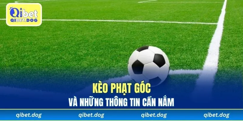 Kèo Phạt Góc Là Gì? Qibet Phổ Cập Toàn Bộ Thông Tin