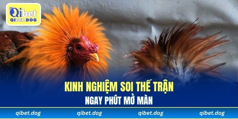 Kinh nghiệm soi thế trận ngay phút mở màn