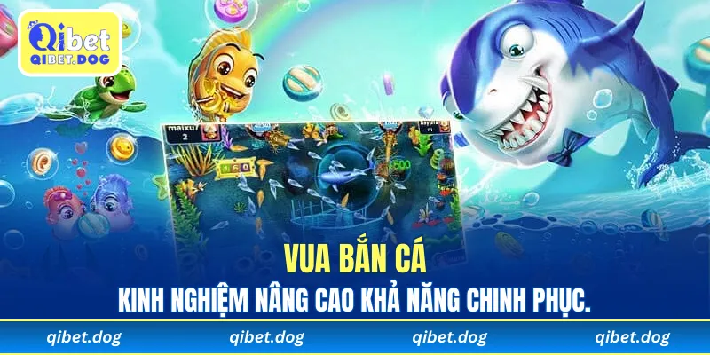 Kinh nghiệm Vua Bắn Cá nâng cao khả năng chinh phục.