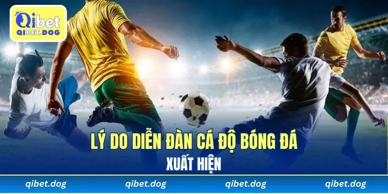 Lý do diễn đàn cá độ bóng đá xuất hiện