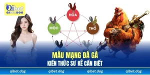 Giải Mã Màu Mạng Đá Gà Và Những Kiến Thức Sư Kê cần biết