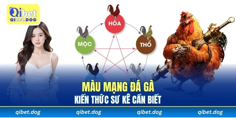 Giải Mã Màu Mạng Đá Gà Và Những Kiến Thức Sư Kê cần biết