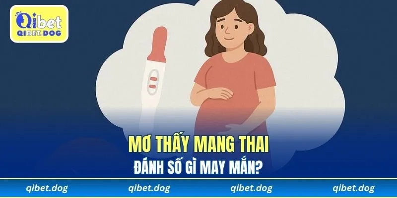 Mơ Thấy Mang Thai Và Con Số May Mắn Có Thể Bạn Chưa Biết