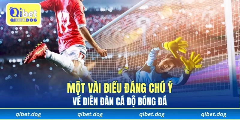 Một vài điều đáng chú ý về diễn đàn cá độ bóng đá