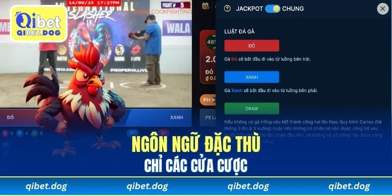 Ngôn ngữ đặc thù chỉ các cửa cược
