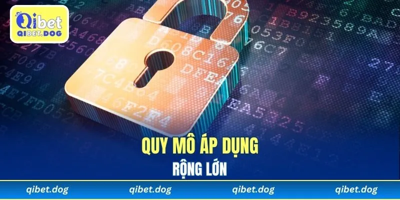 Quy mô áp dụng rộng lớn