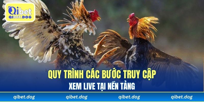 Quy trình các bước truy cập xem live tại nền tảng 