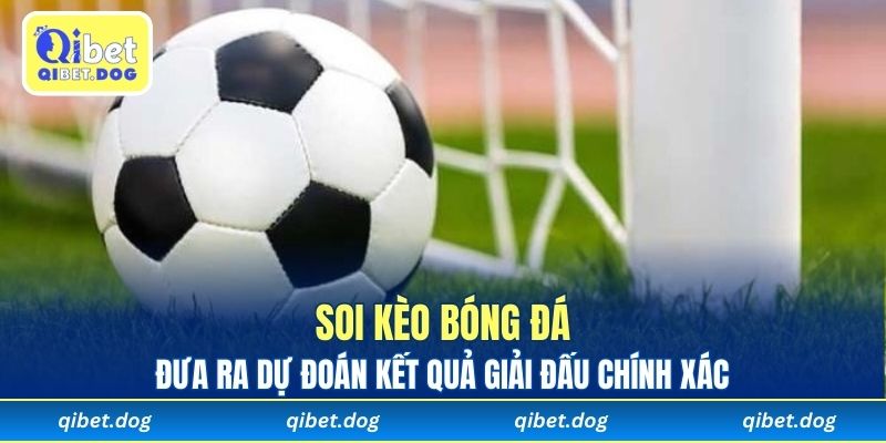 Soi kèo bóng đá đưa ra dự đoán kết quả giải đấu chính xác