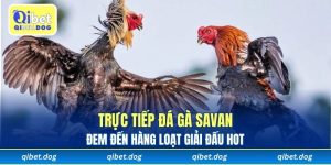 Trực Tiếp Đá Gà Savan - Live HD Giải Đấu Chuyên Nghiệp