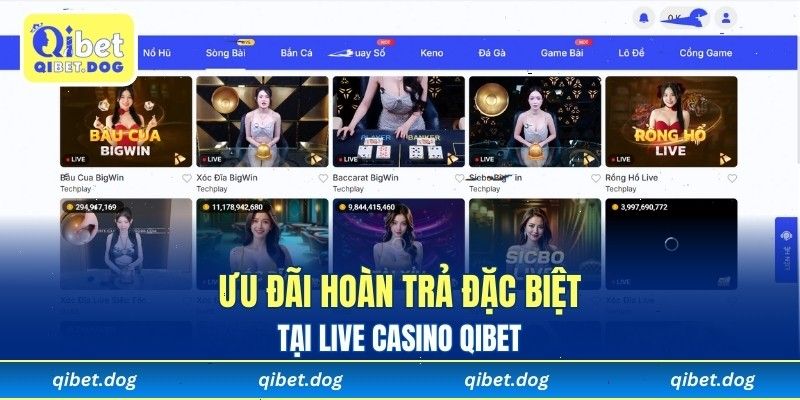 Ưu đãi hoàn trả đặc biệt tại Live Casino QIBET